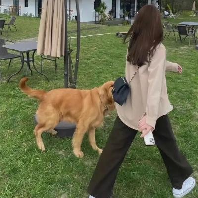 快进者