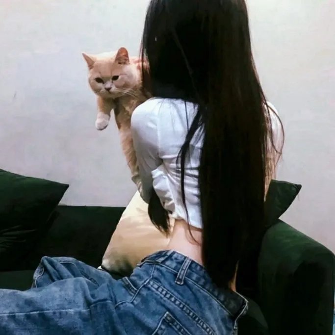 赛车狂人3